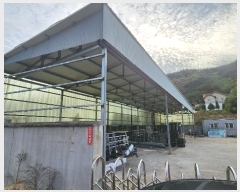  2024Ÿ��39303  ������