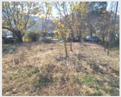  2024Ÿ39372 泲 û žȸ Ⱥ 744      ()