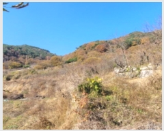  2024Ÿ39372 泲 û žȸ Ⱥ 744      ()