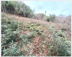  2024Ÿ��39662 �泲 ��û�� ���񷮸� ������ 1006-1      ����(��1)���