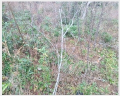  2024Ÿ��39662 �泲 ��û�� ���񷮸� ������ 1006-1      ����(��1)���