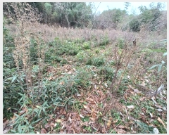  2024Ÿ��39662 �泲 ��û�� ���񷮸� ������ 1006-1      ����(��1)���