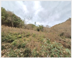  2024Ÿ��39662 �泲 ��û�� ���񷮸� ������ 1006-1      ����(��1)���