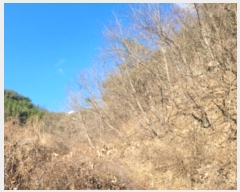  2024Ÿ��39662 �泲 ��û�� ���񷮸� ������ 1006-1      ����(��1)���