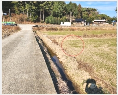  2024Ÿ40037 泲 ر ̵  1564      ()