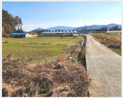  2024Ÿ40037 泲 ر ̵  1564      ()