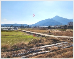  2024Ÿ40037 泲 ر ̵  1564      ()