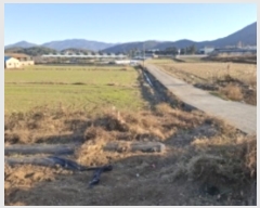  2024Ÿ40037 泲 ر ̵  1564      ()