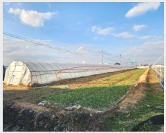  2024Ÿ40341 泲 õ  ֹ 147      ()