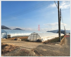  2024Ÿ40341 泲 õ  ֹ 147      ()