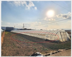  2024Ÿ40341 泲 õ  ֹ 147      ()