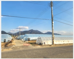  2024Ÿ40341 泲 õ  ֹ 147      ()