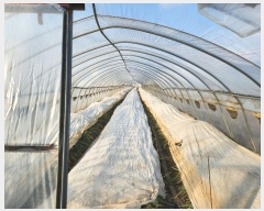  2024Ÿ40341 泲 õ  ֹ 147      ()