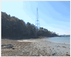  2024Ÿ��40488  �Ӿ߰��