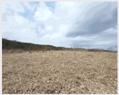  2024Ÿ��1544 �泲 ���ر� â���� �뺮�� 466      ����(��1)���