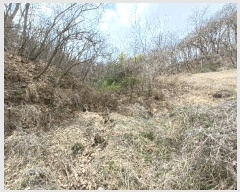  2024Ÿ��1544 �泲 ���ر� â���� �뺮�� 466      ����(��1)���