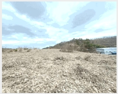  2024Ÿ��1544 �泲 ���ر� â���� �뺮�� 466      ����(��1)���