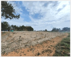  2024Ÿ��1544 �泲 ���ر� â���� �뺮�� 466      ����(��1)���