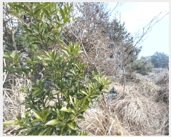  2024Ÿ��1544 �泲 ���ر� â���� �뺮�� 466      ����(��1)���