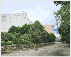  2024Ÿ5263 泲 õ 浿 664-2       