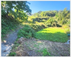  2024Ÿ��5829  ����