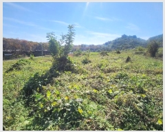  2024Ÿ��5829  ����