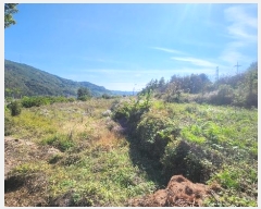  2024Ÿ5829 泲 û ܼ  994      ()