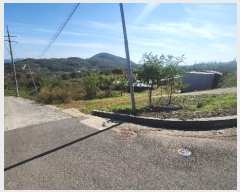  2024Ÿ5829 泲 û ܼ  994      ()