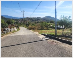  2024Ÿ5829 泲 û ܼ  994      ()