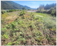  2024Ÿ5829 泲 û ܼ  994      ()