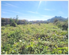  2024Ÿ5829 泲 û ܼ  994      ()