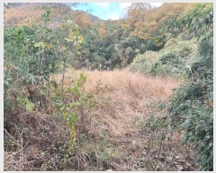  2024Ÿ��5942 �泲 �ϵ��� ������ ��õ�� 836-1      ����(��)���