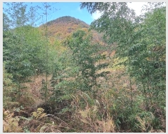  2024Ÿ��5942 �泲 �ϵ��� ������ ��õ�� 836-1      ����(��)���