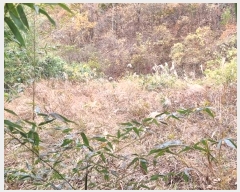  2024Ÿ��5942 �泲 �ϵ��� ������ ��õ�� 836-1      ����(��)���