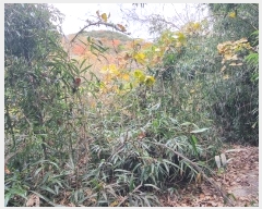  2024Ÿ��5942 �泲 �ϵ��� ������ ��õ�� 836-1      ����(��)���