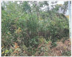  2024Ÿ��5942 �泲 �ϵ��� ������ ��õ�� 836-1      ����(��)���