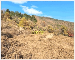  2024Ÿ��6235 �泲 ��û�� ��õ�� ��õ�� 94      ����(�Ӿ�)���