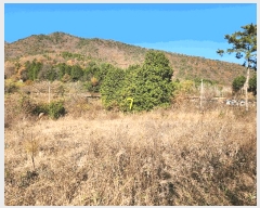  2024Ÿ��6235 �泲 ��û�� ��õ�� ��õ�� 94      ����(�Ӿ�)���