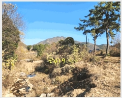  2024Ÿ��6235 �泲 ��û�� ��õ�� ��õ�� 94      ����(�Ӿ�)���