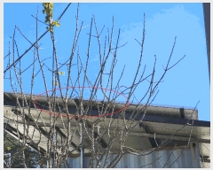  2024Ÿ��6235 �泲 ��û�� ��õ�� ��õ�� 94      ����(�Ӿ�)���