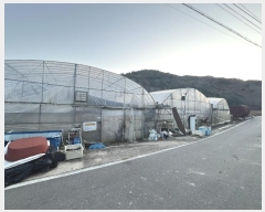  2024Ÿ6518 泲 õ   744-8      ()