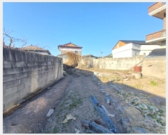  2024Ÿ6648 泲 ֽ  󹮸 511      (Ӿ)