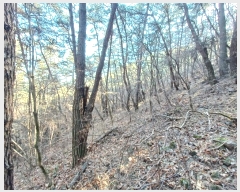  2024Ÿ6648 泲 ֽ  󹮸 511      (Ӿ)