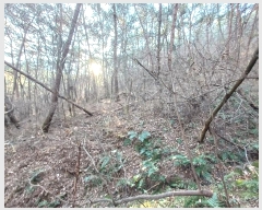  2024Ÿ6648 泲 ֽ  󹮸 511      (Ӿ)