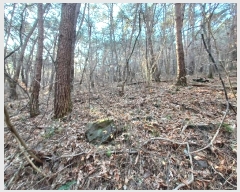  2024Ÿ6648 泲 ֽ  󹮸 511      (Ӿ)