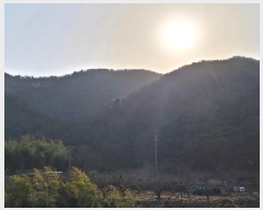  2024Ÿ6648 泲 ֽ  󹮸 511      (Ӿ)