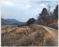  2024Ÿ6693 泲 û ܼ  75-15      (Ӿ)