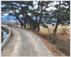  2024Ÿ6693 泲 û ܼ  75-15      (Ӿ)