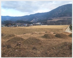  2024Ÿ6693 泲 û ܼ  75-15      (Ӿ)