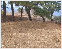  2024Ÿ6693 泲 û ܼ  75-15      (Ӿ)